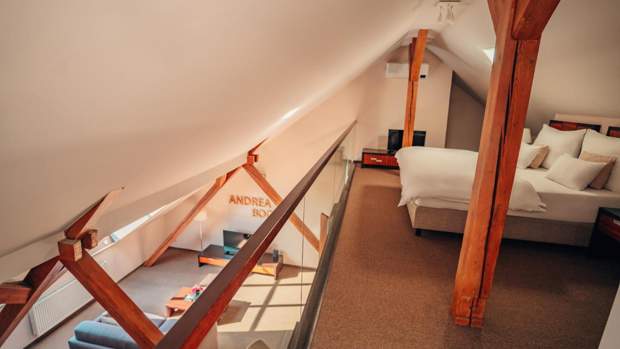 Klarov 4* Praag